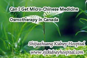 Can I Get Micro-Chinese Medicine Osmotherapy in Canada