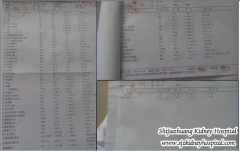 Can Chinese Medicine Help Dialysis Patient