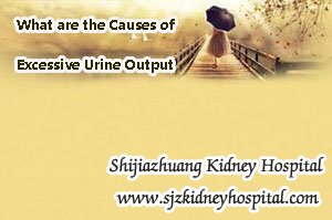 What are the Causes of Excessive Urine Output