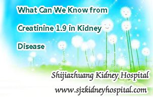What Can We Know from Creatinine 1.9 in Kidney Disease