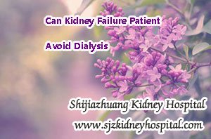 Can Kidney Failure Patient Avoid Dialysis