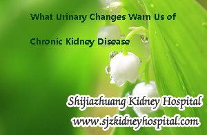 What Urinary Changes Warn Us of Chronic Kidney Disease