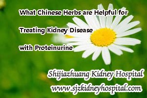 What Chinese Herbs are Helpful for Treating Kidney Disease with Proteinurine