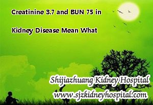 Creatinine 3.7 and BUN 75 in Kidney Disease Mean What