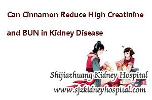 Can Cinnamon Reduce High Creatinine and BUN in Kidney Disease