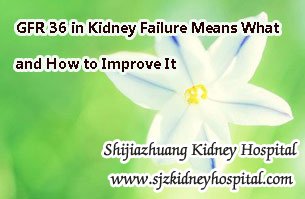 GFR 36 in Kidney Failure Means What and How to Improve It