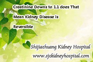 Creatinine Downs to 1.1 does That Mean Kidney Disease is Reversible