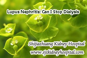 Lupus Nephritis: Can I Stop Dialysis