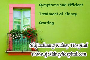 Symptoms and Efficient Treatment of Kidney Scarring