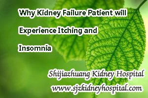 Why Kidney Failure Patient will Experience Itching and Insomnia