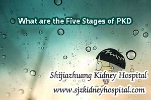 What are the Five Stages of PKD