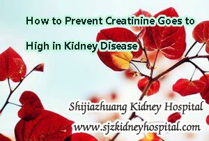 How to Prevent Creatinine Goes to High in Kidney Disease