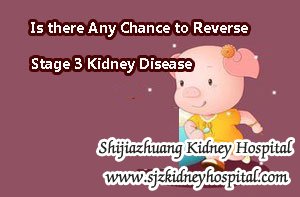 Is there Any Chance to Reverse Stage 3 Kidney Disease