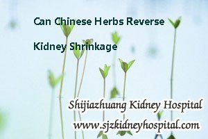 Can Chinese Herbs Reverse Kidney Shrinkage