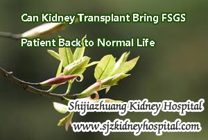 Can Kidney Transplant Bring FSGS Patient Back to Normal Life