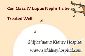 Can Class IV Lupus Nephritis be Treated Well