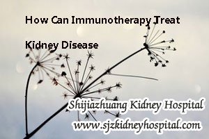How Can Immunotherapy Treat Kidney Disease