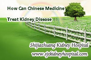 How Can Chinese Medicine Treat Kidney Disease