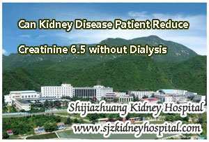 Can Kidney Disease Patient Reduce Creatinine 6.5 without Dialysis
