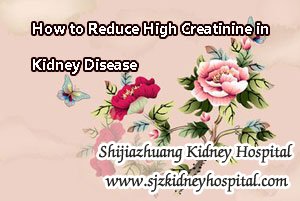 How to Reduce High Creatinine in Kidney Disease