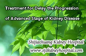 Treatment for Delay the Progression of Advanced Stage of Kidney Disease