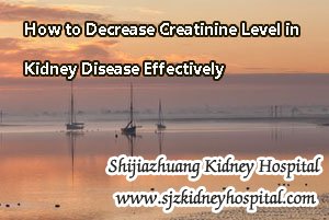 How to Decrease Creatinine Level in Kidney Disease Effectively