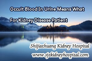Occult Blood In Urine Means What For Kidney Disease Patient
