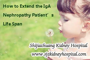 How to Extend the IgA Nephropathy Patient’s Life Span