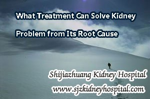 What Treatment Can Solve Kidney Problem from Its Root Cause