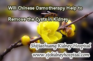 Will Chinese Osmotherapy Help to Remove the Cysts in Kidney