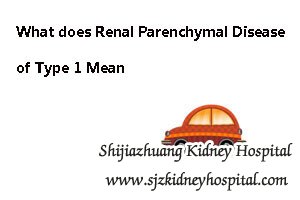 What does Renal Parenchymal Disease of Type 1 Mean
