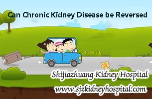 Can Chronic Kidney Disease be Reversed