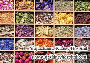 How can PKD Patients Reduce Creatinine 3.4 naturally