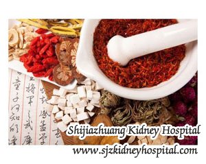 Can Natural Treatments Help My Kidney Recover