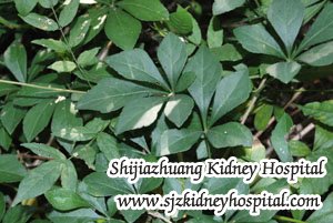 What Should We Do to Treat FSGS with Creatinine 7.8