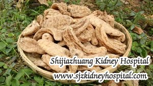 Can Toxin-Removing Therapy be Used to Diabetic Nephropathy