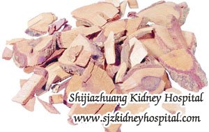 Is Anemia Caused by Hypertension Nephropathy
