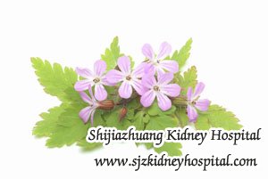 How to Reduce Creatinine 5.8 with Diabetic Nephropathy