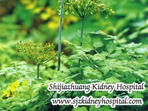 Can Chinese Medicine Help Diabetic Nephropathy Patients