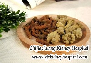 Can Chinese Medicine be Useful for LgA Nephropathy