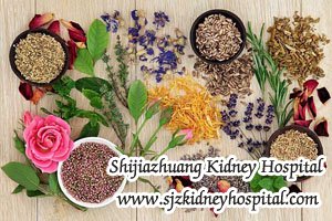 Is There any Natural Therapy to lgA Nephropathy with 15% Renal Function