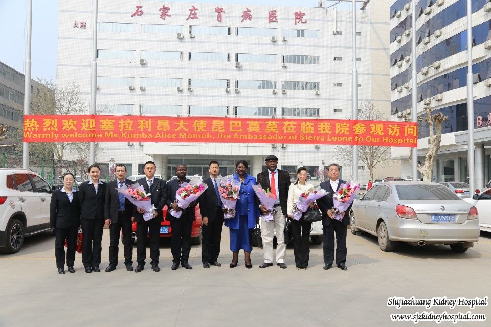 The Ambassador From Sierra Leone visited Shijiazhuang Kidney Hospital