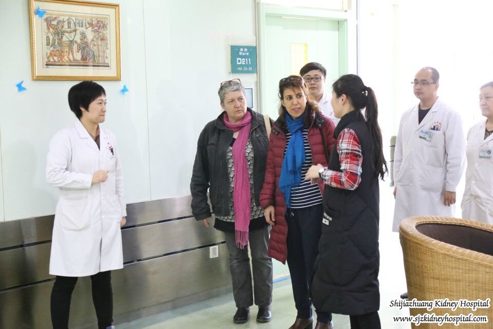 The Chinese Medicine Specialists in French Tool A Visit Shijiazhuang Kidney Hospital for An Academic Exchange