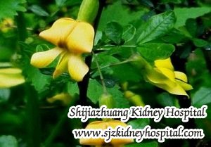 Is Astragualus Helpful for Diabetic Nephropathy Patients