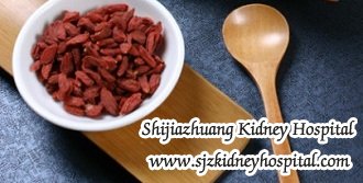 What are Natural Treatments to IgA Nephropathy