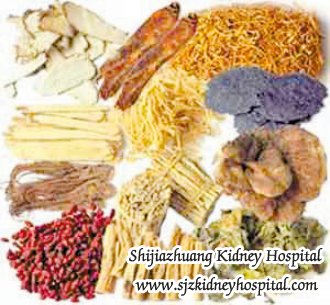 What Can We Do for IgA Nephropathy with Poor Appetite Patients