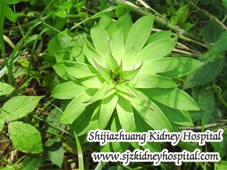 Is There Any Possible to Reverse Stage Three CKD
