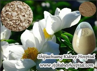 Can Kidney Failure Patients be Treated with Micro-Chinese Medicine Osmotherapy in India