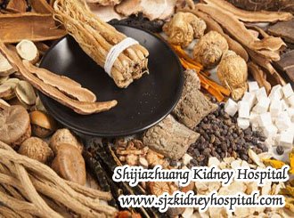 Can Toxin-Removing Therapy Instead of Dialysis to Hypertensive Nephropathy