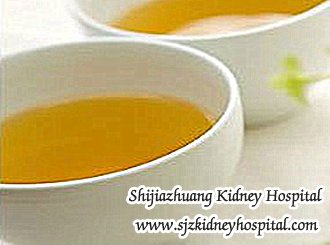 What is the Correct Treatment to IgA Nephropathy